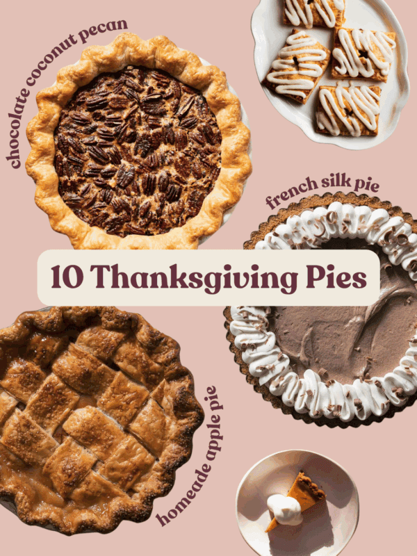 Chocolate coconut pecan pie, homemade apple pit, french silk pie, a slice of butterscotch pumpkin pie, and apple hand pies on a plate.