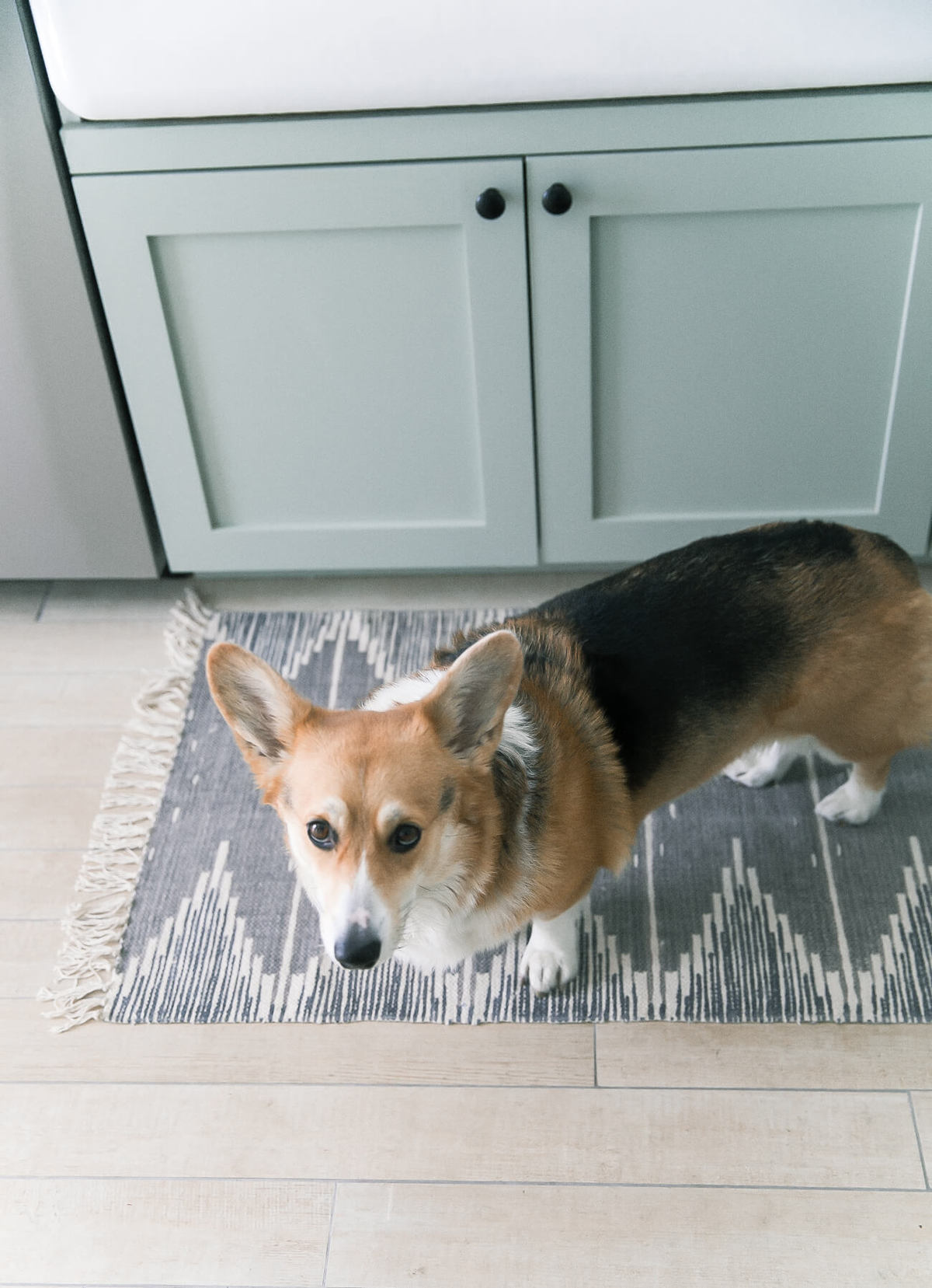 A Cozy Kitchen Renovation Reveal Part I - A Cozy Kitchen