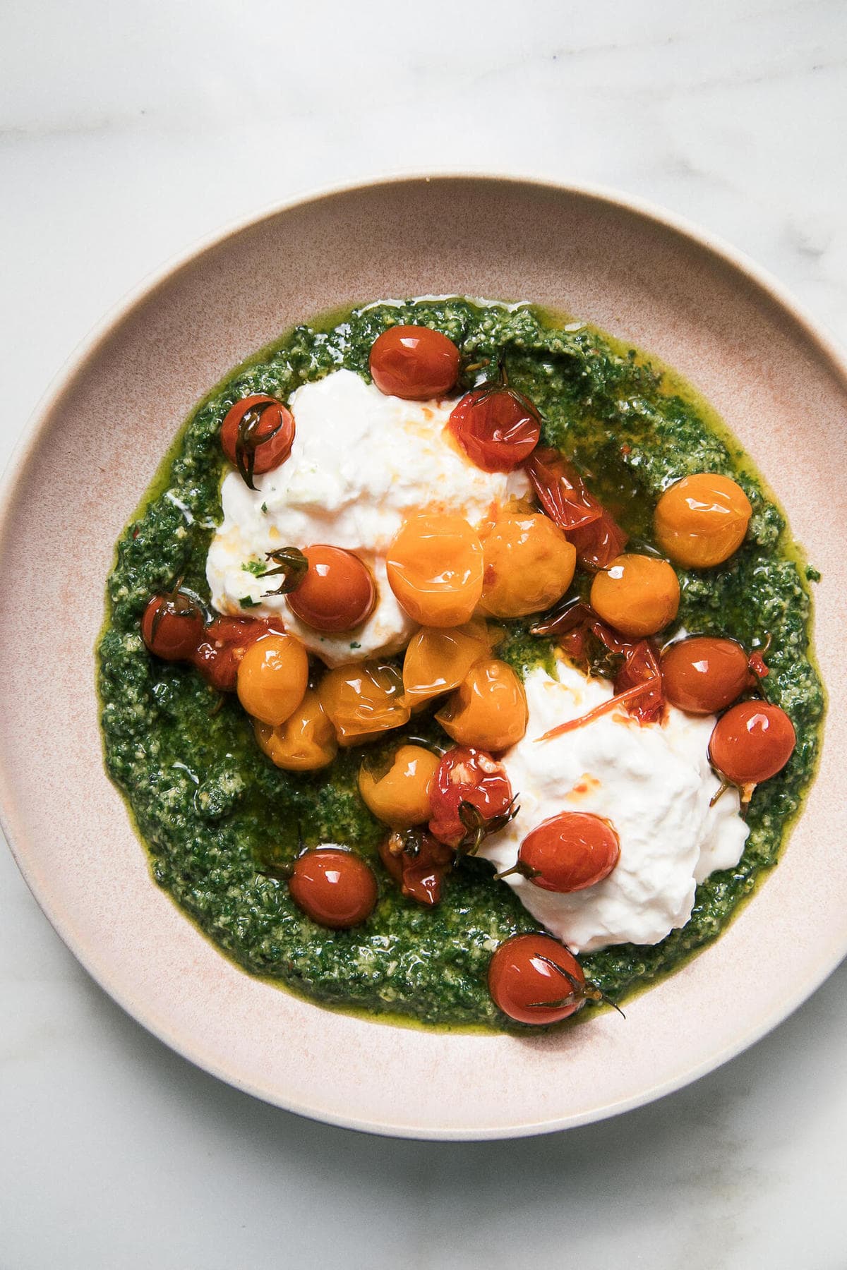 tomato confit with burrata and pesto from a basil plant i haven’t killed…yet