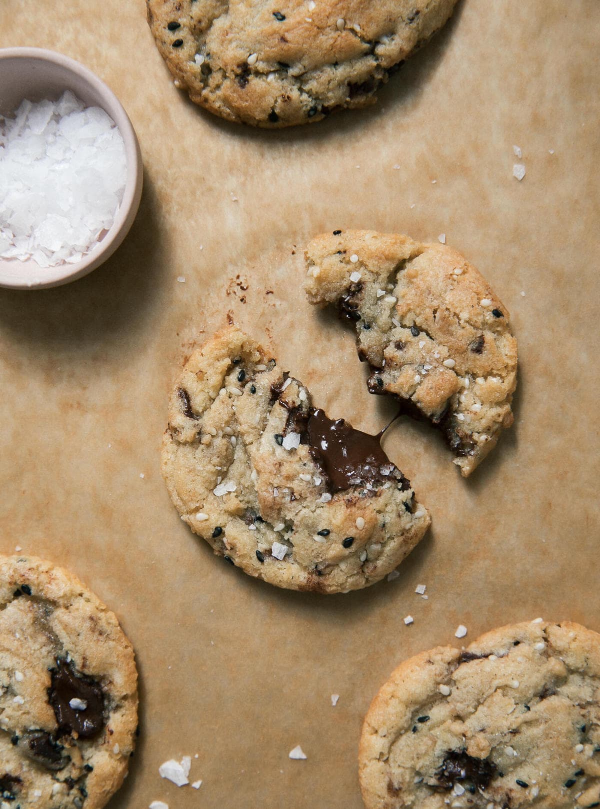 15 Christmas Cookie Recipes