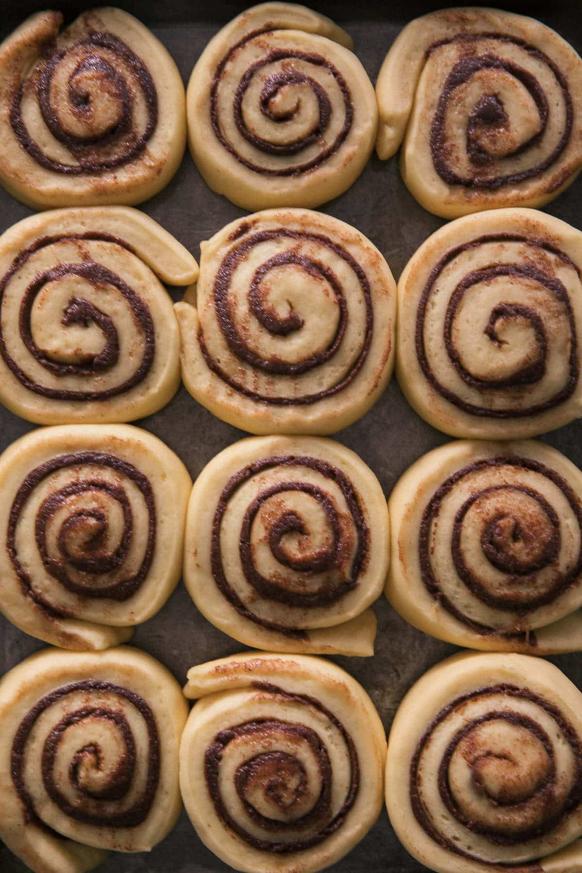 Assembled Cinnamon Rolls 