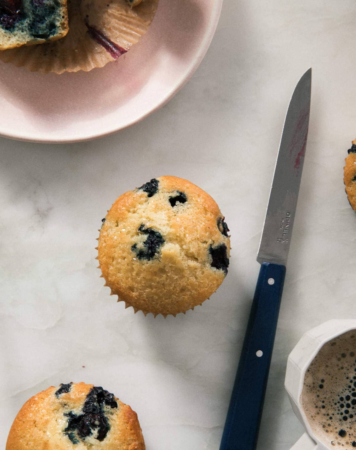 Blueberry Muffin overhead. 