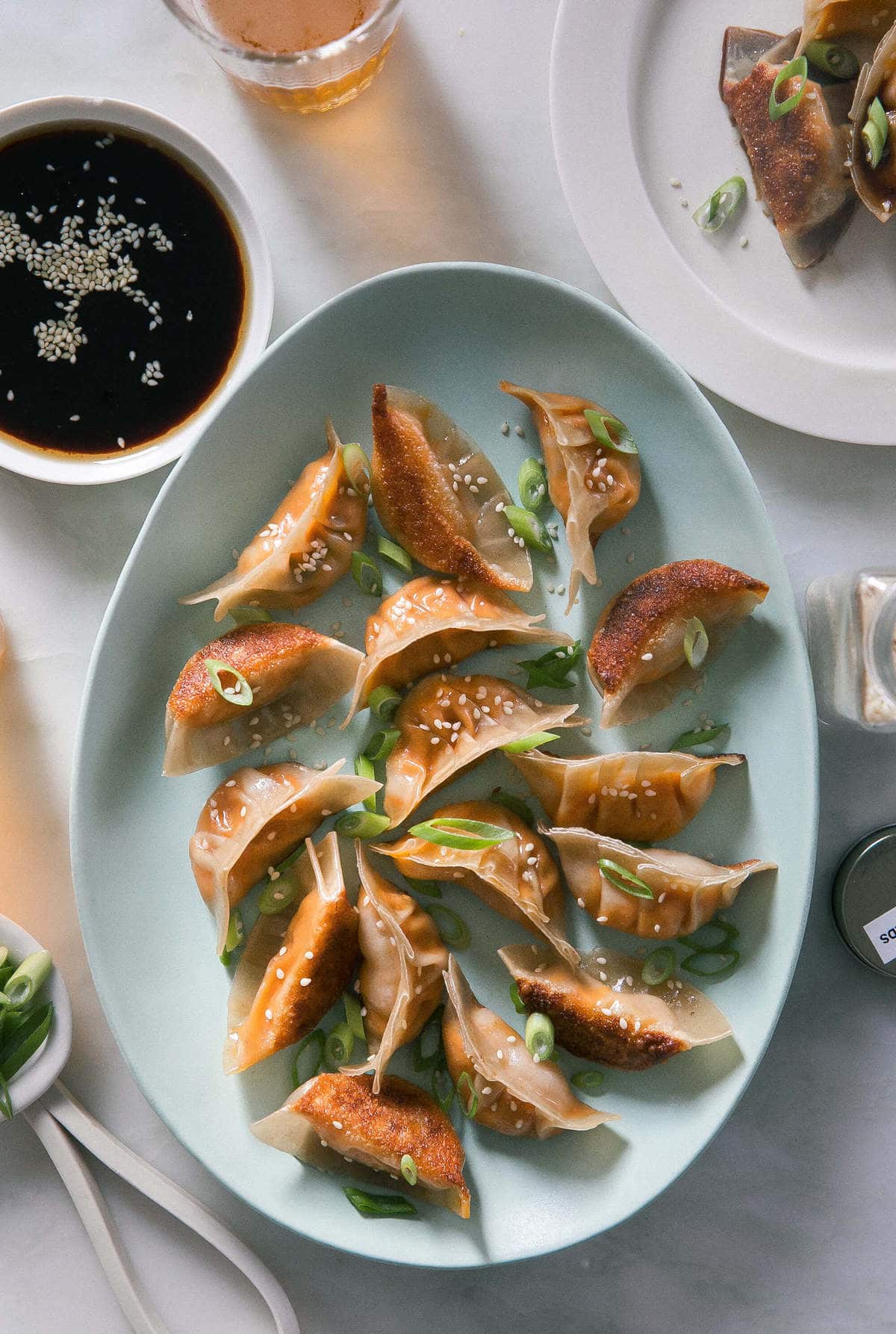 Vegetarian Carrot Ginger Potstickers 