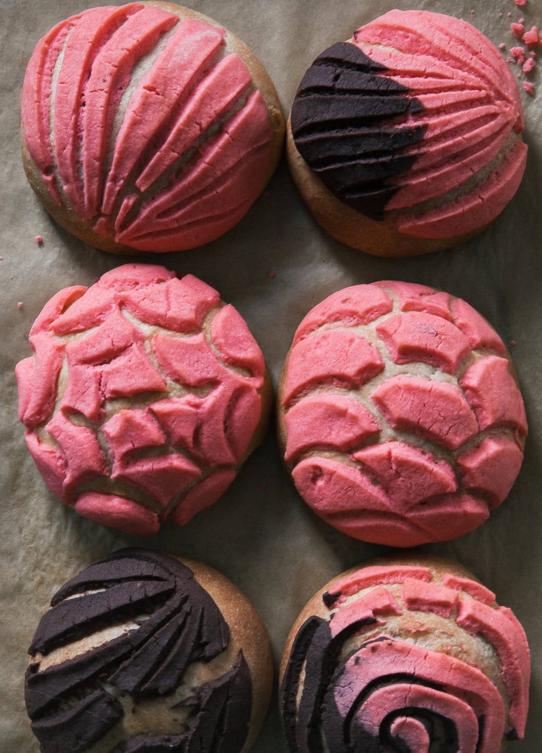 Conchas (Mexican Pan Dulce) A Cozy Kitchen Conchas Recipe