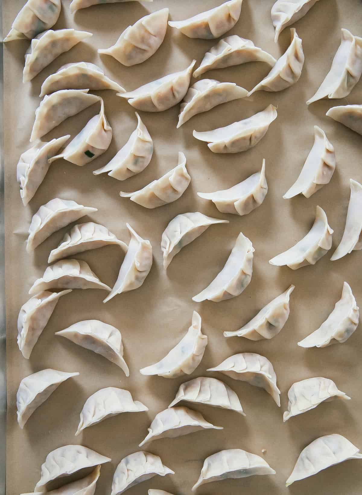 Potstickers on baking sheet, pre-cooked. 
