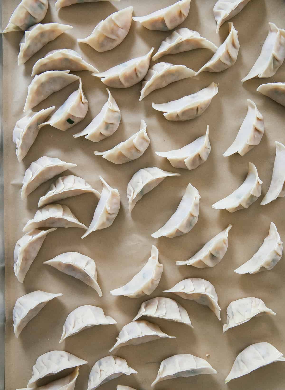 Potstickers on baking sheet, pre-cooked.