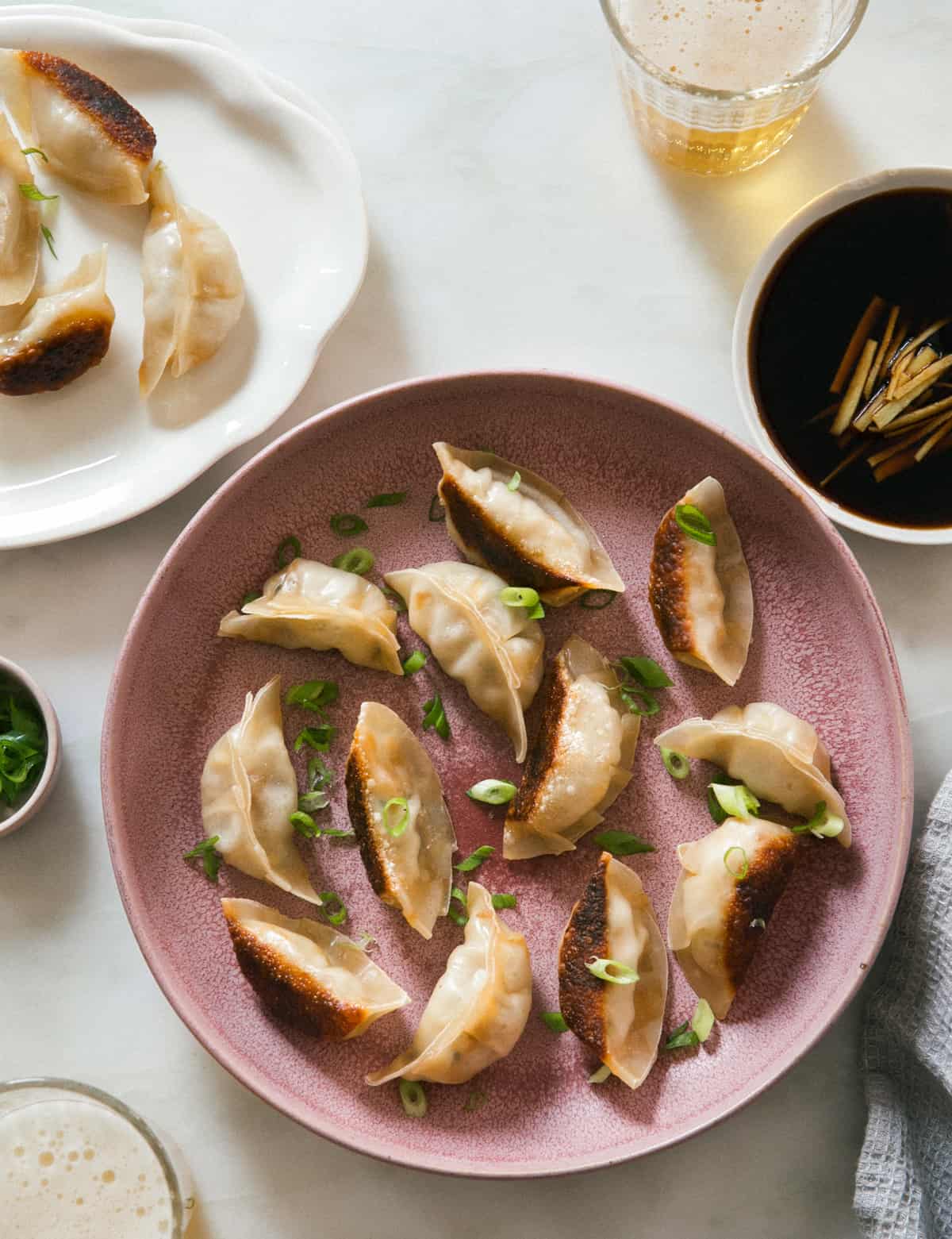 Potstickers in a bowl with green onions. 