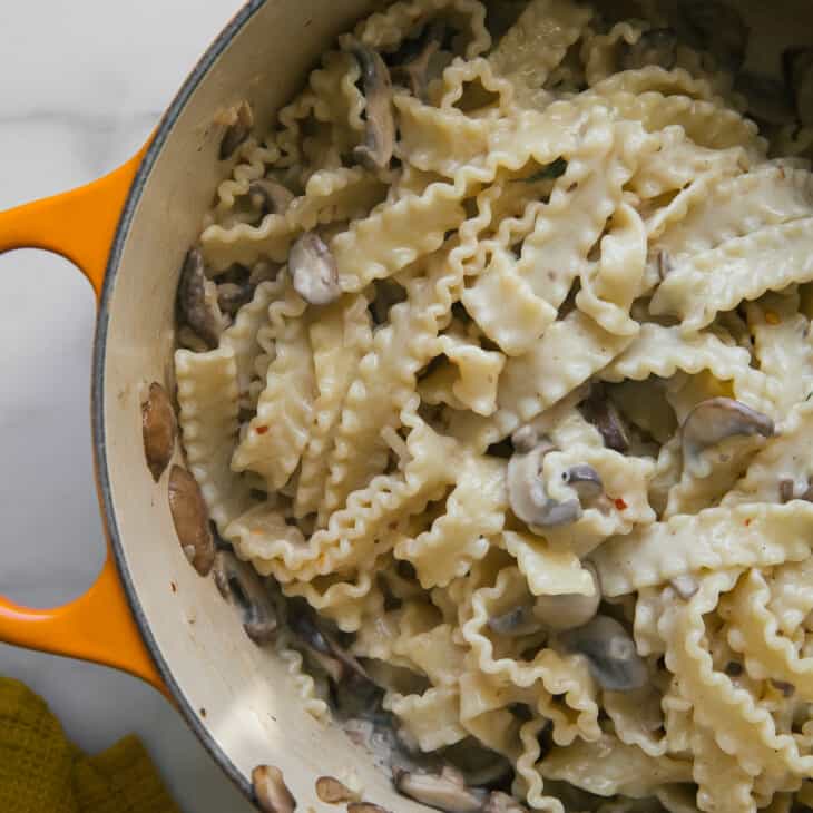 Overhead creamy mushroom pasta
