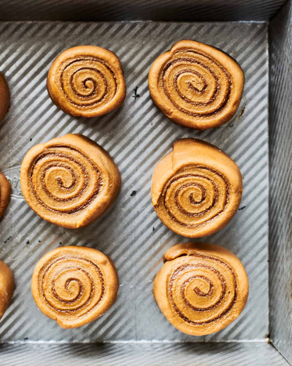 Gingerbread Rolls in Pan