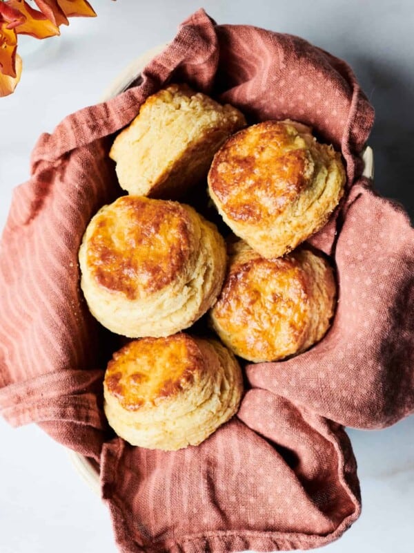 Homemade Sugar Cubes - Whisked Away Kitchen