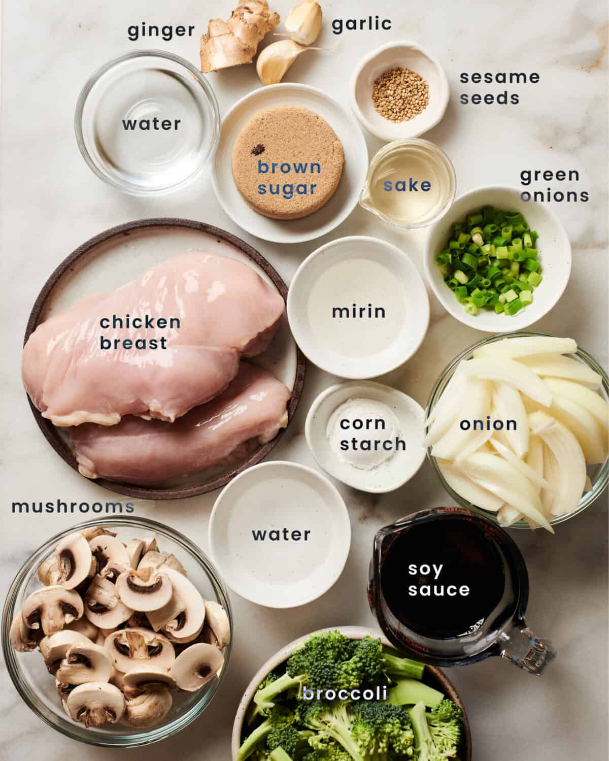 Ingredients for Teriyaki Chicken. 