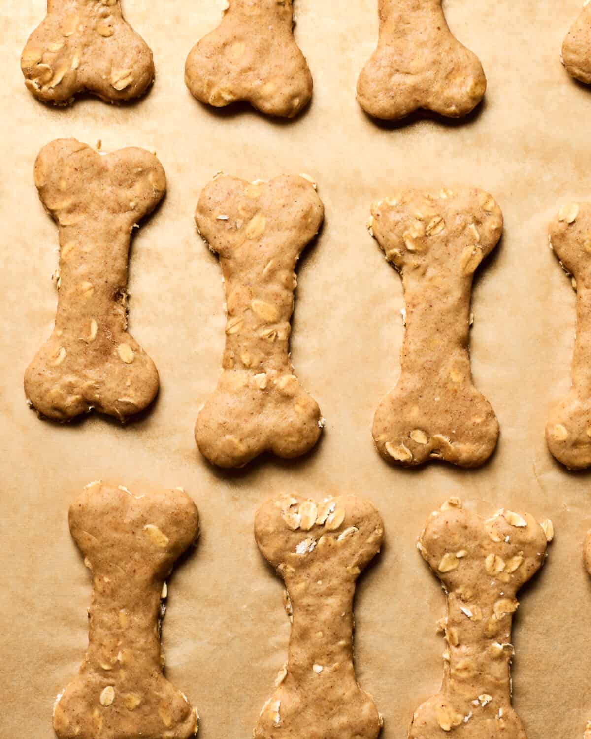 Dog Treats before they're baked. 