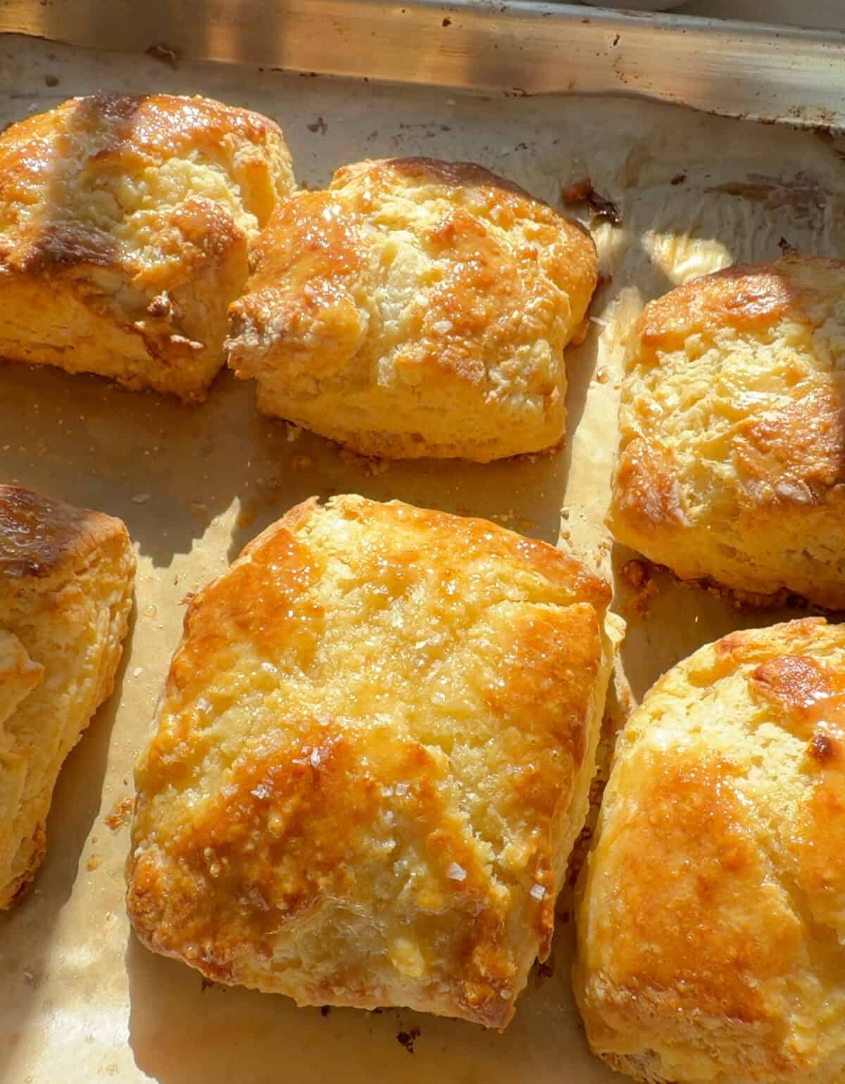 Fresh baked golden brown biscuits.