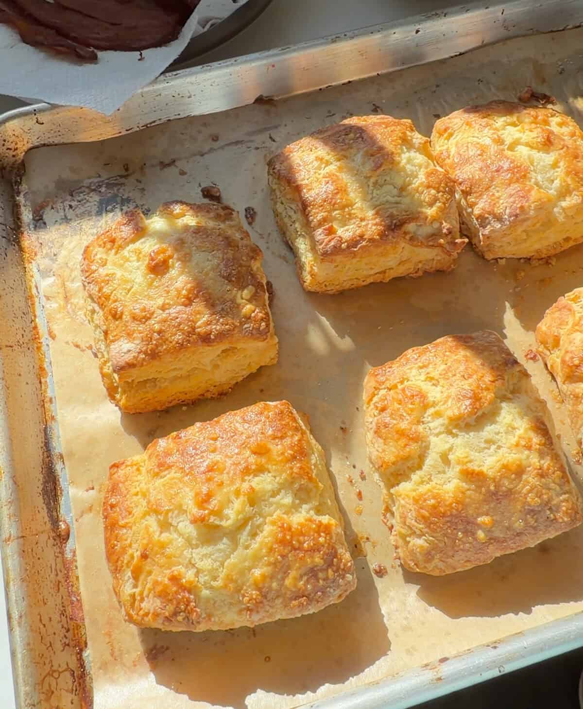 Fresh baked biscuits on sheet tray.