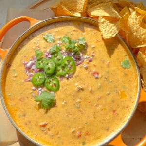 Rotel dip garnished with cilantro, jalapeรฑo, and red onion with tortilla chips on the side.