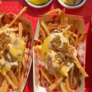 Animal Style Fries on tray.