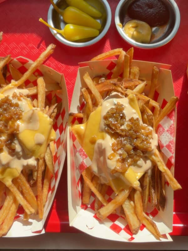 Animal Style Fries on tray.