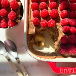 Chocolate Raspberry Tiramisu with portion scooped into bowl.