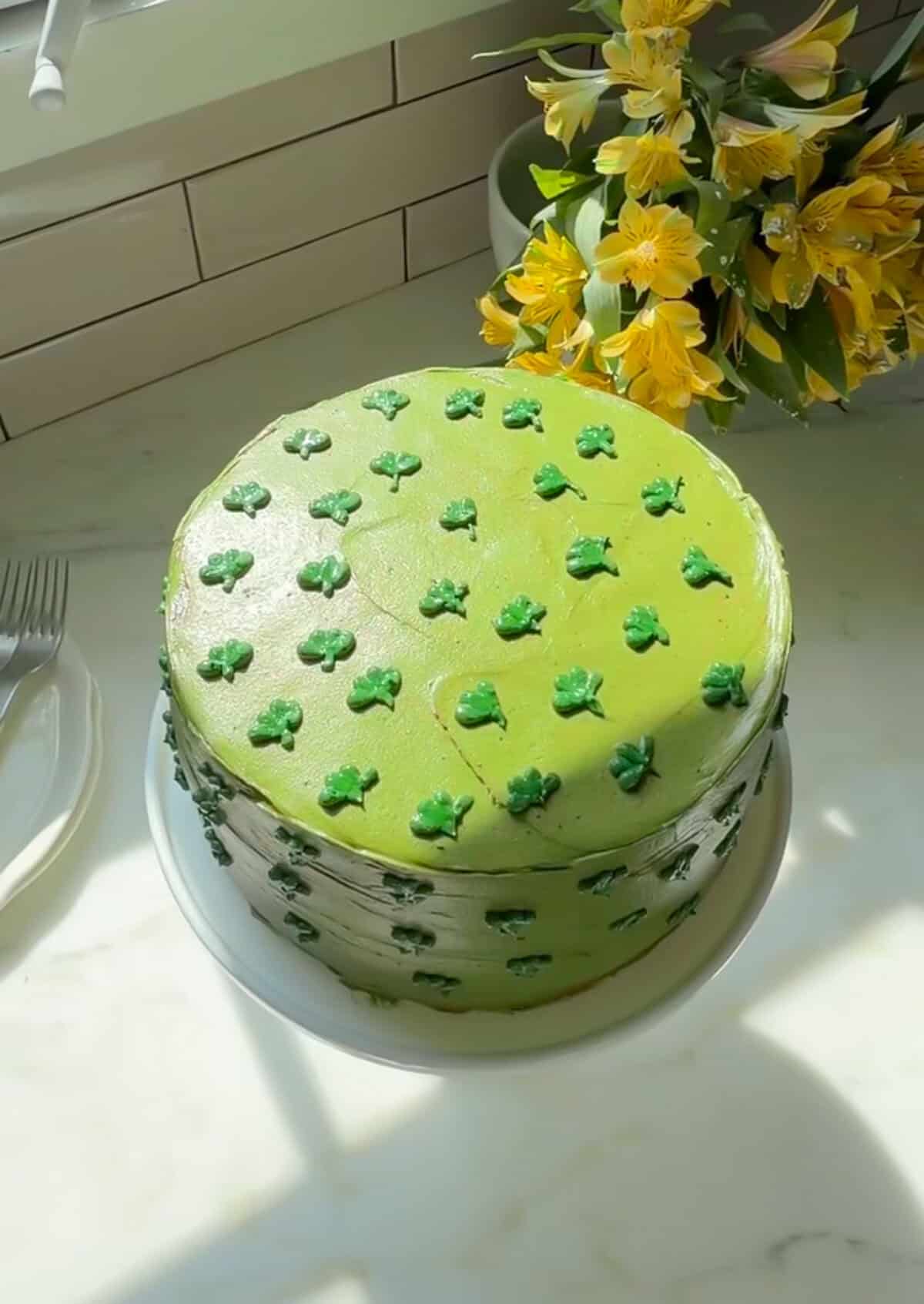 Chocolate Matcha Cake on cake stand.