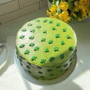 Chocolate Matcha Cake on cake stand.