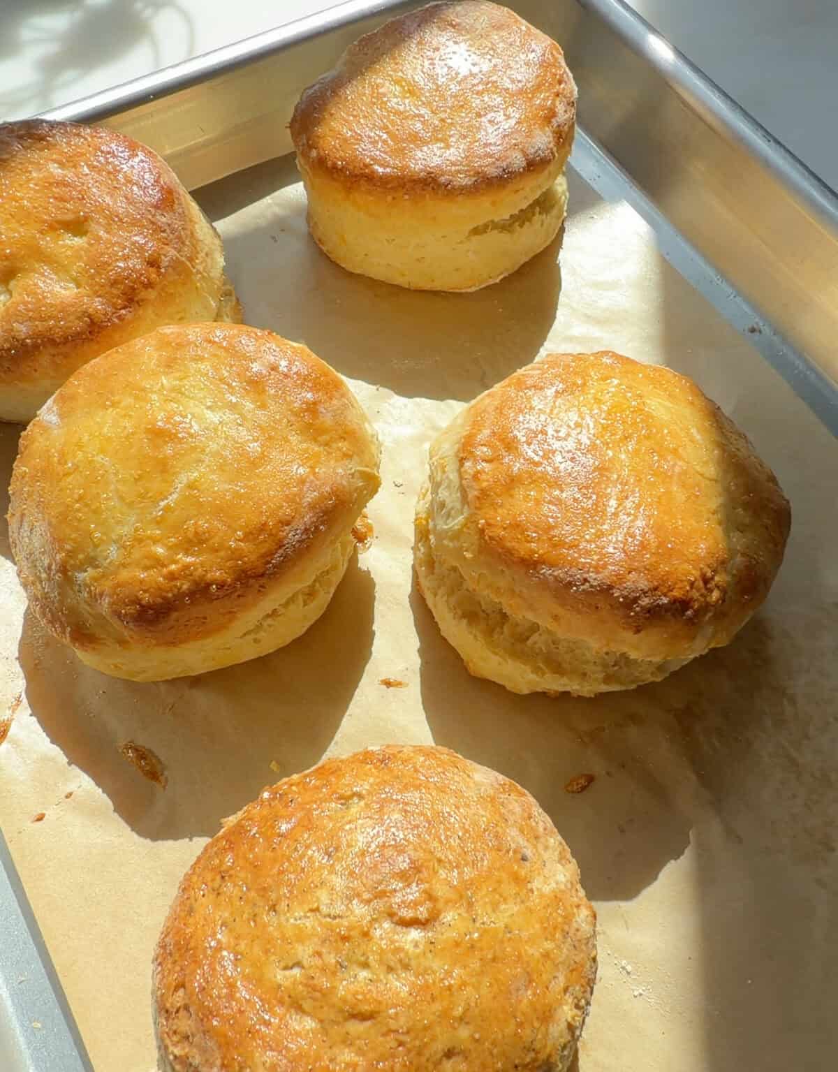 सुनहरे शीर्ष के साथ ताजा बेक्ड ब्रिटिश स्कोन।