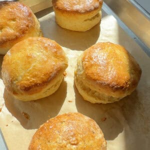 Freshly baked British Scones with golden tops.