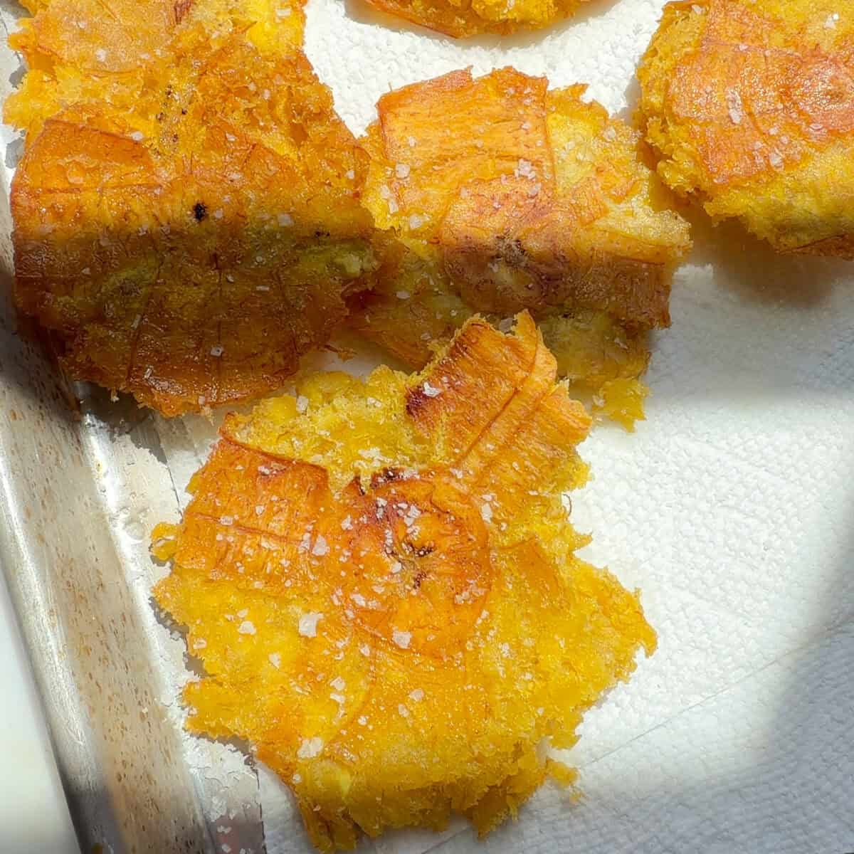 Fried tostones on a sheet tray.