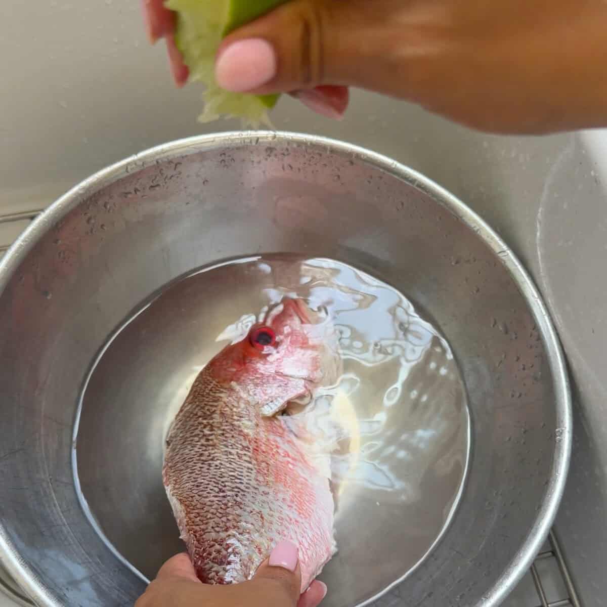 Cleaning fish in water with lime.