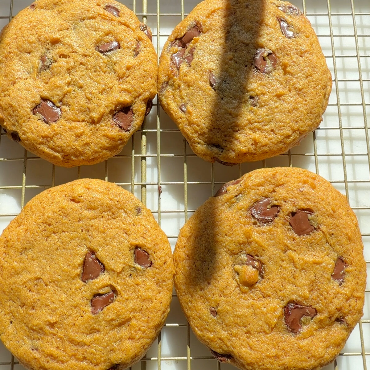 Fresh baked cookies on cooling rack.